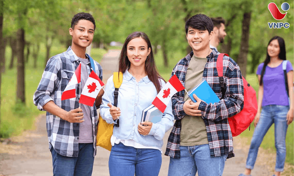Du Học Đại Học Canada: Cập Nhật Điều Kiện, Chi Phí Và Học Bổng